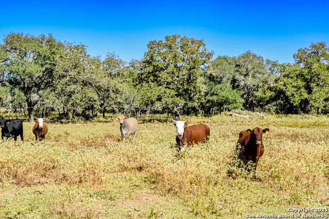 TBD Fm 682, Yoakum, TX 77995 - Image #3