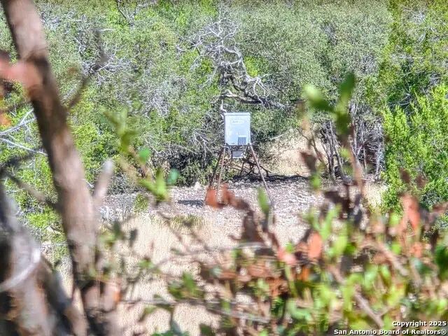 72.5 AC +/- Sd5570, Rocksprings, TX 78880 - Image #2