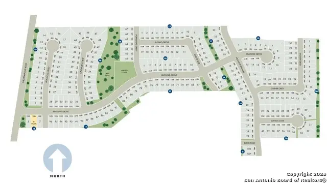 4502 Wild Goose, San Antonio, TX 78245 - Image #3