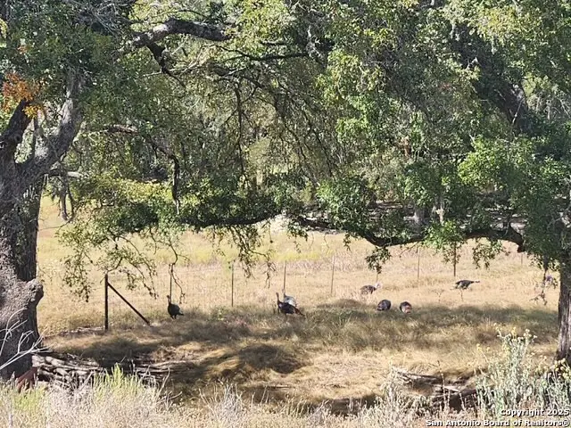 800 Schumann Rd, Stonewall, TX 78671 - Image #2