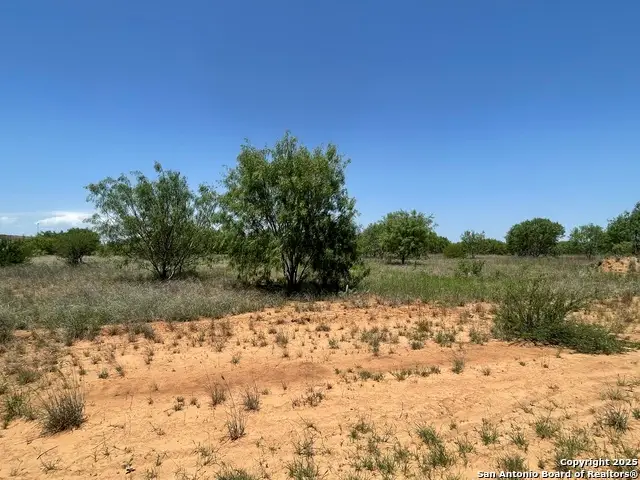 TBD Fm 462 S, Hondo, TX 78861 - Image #2
