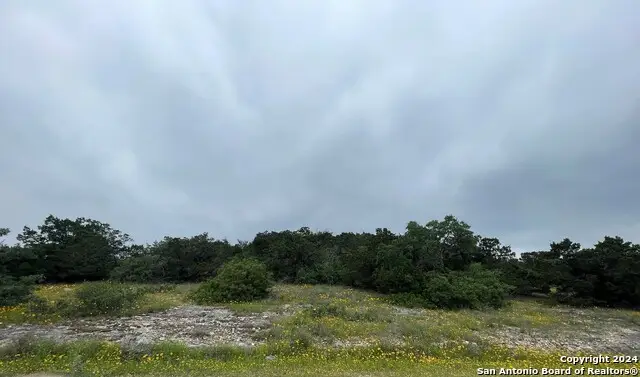 14333 Santa Loma, Helotes, TX 78023 - Image #3