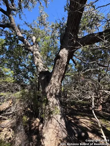 TBD Fm 2828, Bandera, TX 78003 - Image #2