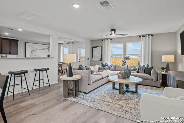 945 Heartseed Avenue, New Braunfels, TX 78130 - Image #3