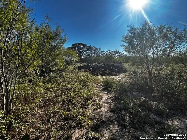 TBD County Road 777, Devine, TX 78016 - Image #1