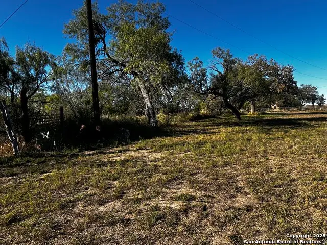 TBD County Road 777, Devine, TX 78016 - Image #2