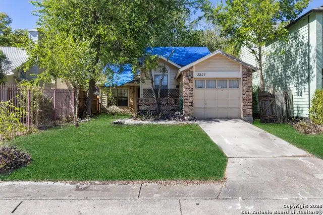 2827 Almond Field, San Antonio, TX 78245 - Image #3