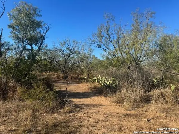 LOTS 2456-2458 Ave. J, Christine, TX 78012