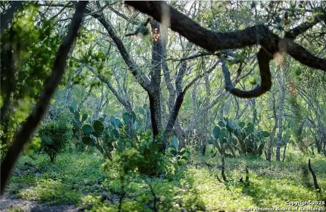 000 County Line Rd # 120, Beeville, TX 78102 - Image #2