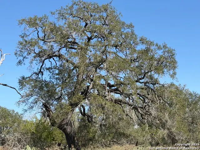 2929 Fm 2146, Poteet, TX 78065 - Image #3