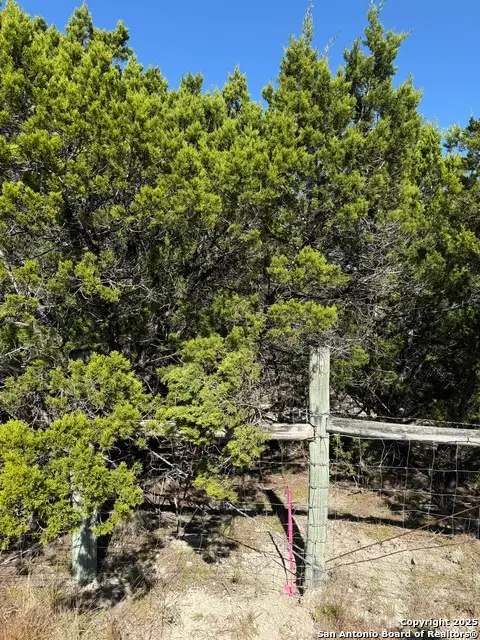 LT 391 Forest Trail Drive, Bandera, TX 78003 - Image #3