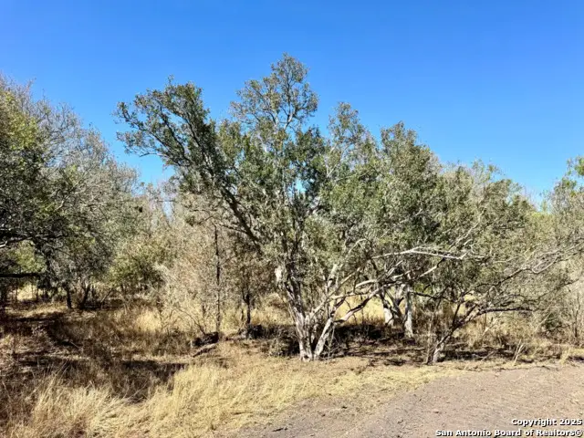 0 County Road 215, McCoy, TX 78113 - Image #3