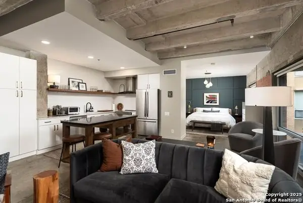 1115 S Alamo #2304, San Antonio, TX 78210