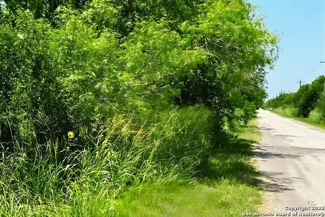 0 M Ave, Christine, TX 78012 - Image #3