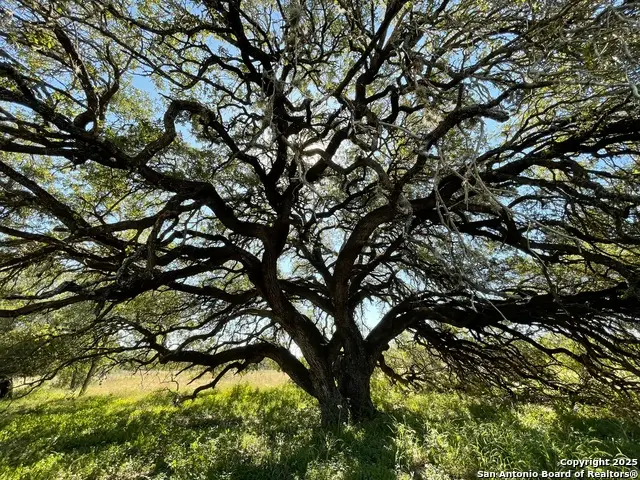 970 Newman, Poteet, TX 78065 - Image #3