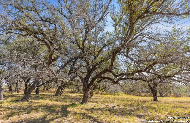 1304 County Road 777, Devine, TX 78016 - Image #3