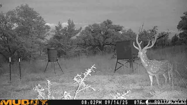 LOT 2 Live Oak Ridge, Bandera, TX 78003 - Image #1