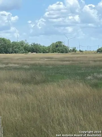 TBD Fm 673, Pawnee, TX 78145 - #3