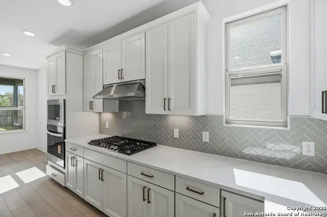 347 Alpine Lakes, New Braunfels, TX 78130 - #2