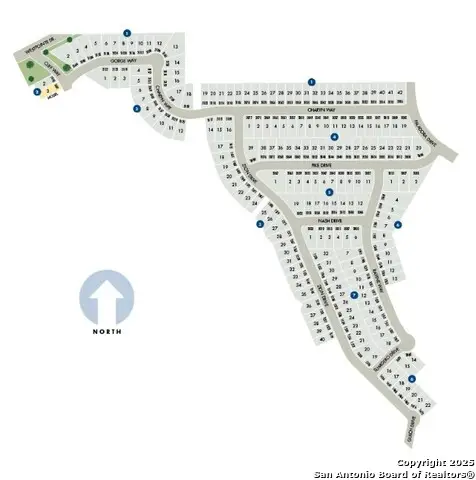 6419 Prince Howard, San Antonio, TX 78239 - Image #3