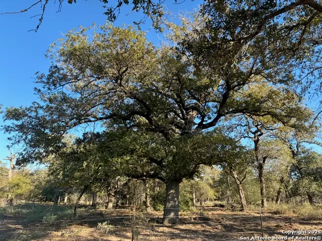 413 Batey Rd, Seguin, TX 78155 - Image #3