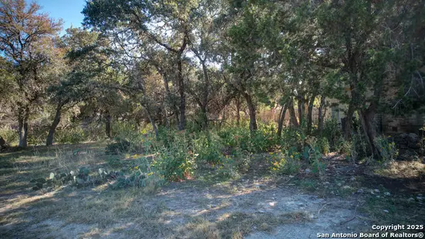 1042 Janet, Canyon Lake, TX 78133