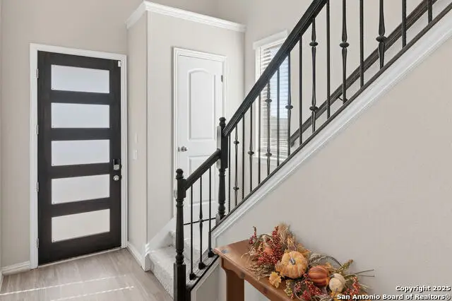 605 Jaboncillo, New Braunfels, TX 78132 - Image #3