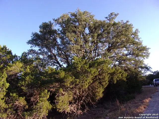 361/395 Mountain Wood, Canyon Lake, TX 78133 - #3