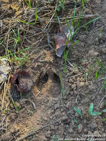 000 TRACT 3 & 5 Fm 539, La Vernia, TX 78121 - Image #3