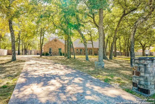 569 Rose Branch Dr, La Vernia, TX 78121 - Image #3