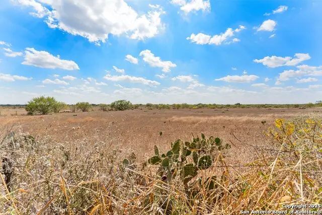 2849 Fm 1333, Poteet, TX 78065 - Image #3