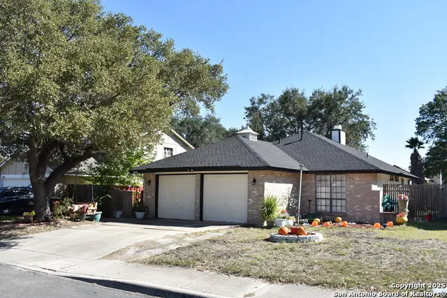 11406 Hatchet Pass Dr, San Antonio, TX 78245 - #3