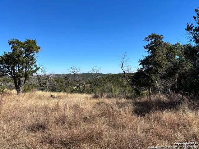 LOT 85 Headwaters Ranch Road, Kendalia, TX 78027 - Image #3