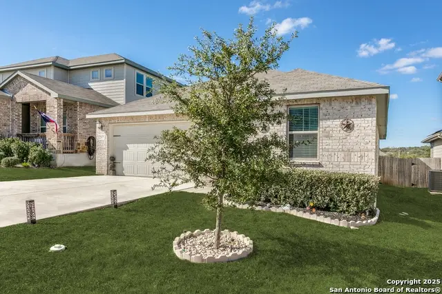 217 Goodfella Ave, Cibolo, TX 78108 - Image #2