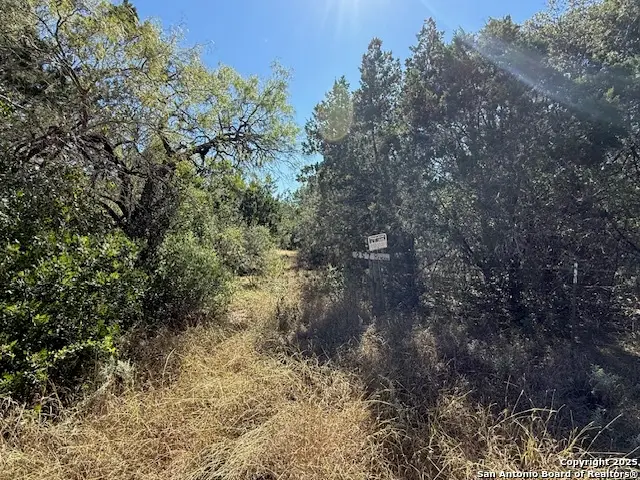 LOT 257 Pr 2700, Uvalde, TX 78801 - Image #3
