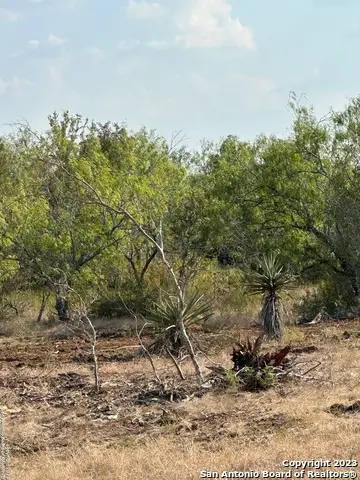 5894 Fm 1107 Unit B-tract 1, Stockdale, TX 78160 - Image #3