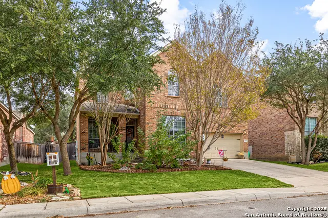23414 Treemont Park, San Antonio, TX 78261 - Image #2