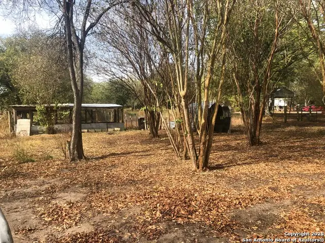 8513 Pecan, Tuleta, TX 78162 - Image #2