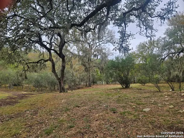 481 River Chase Way, New Braunfels, TX 78132 - Image #2