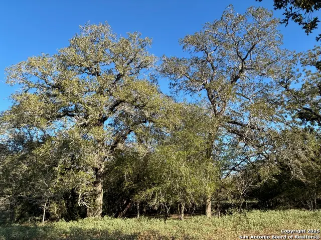 295 Batey Rd, Seguin, TX 78155 - Image #3