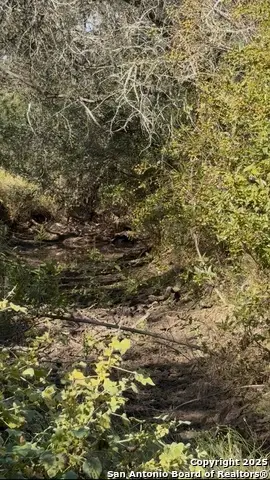 0 Iuka, Poteet, TX 78065 - Image #3