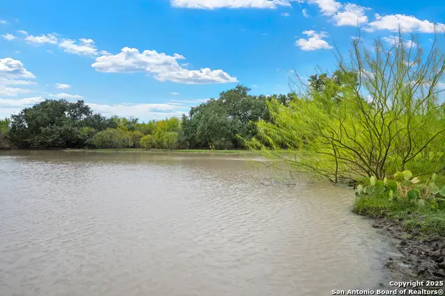 719 County Road 653, Devine, TX 78016 - Image #3