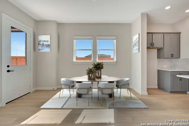 111 Permila, New Braunfels, TX 78130 - Image #3