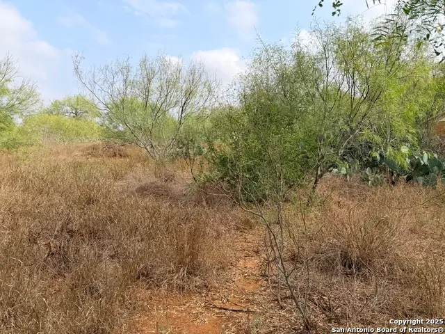 569 Couser, Charlotte, TX 78011 - Image #3