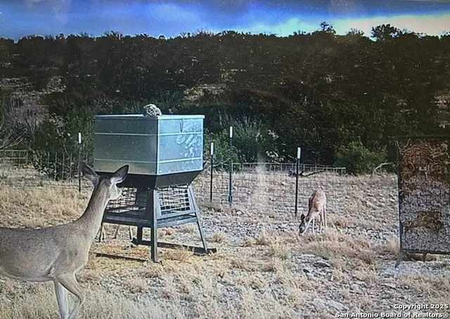 TBD Van Cleef Rd, Comstock, TX 78837 - Image #3