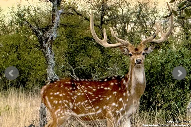 14410 Us Highway 190, Fort McKavett, TX 76841 - Image #1