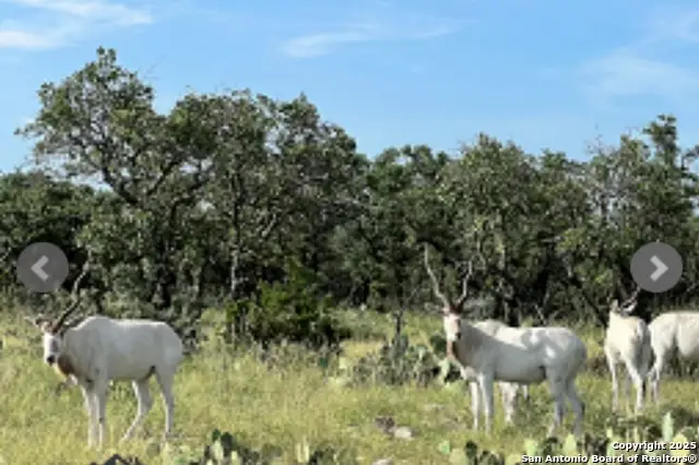 14410 Us Highway 190, Fort McKavett, TX 76841 - Image #2