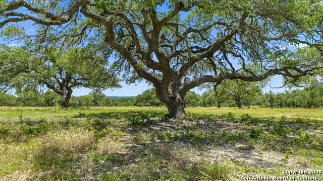 TBD Lindeman Lane, Blanco, TX 78606 - Image #3