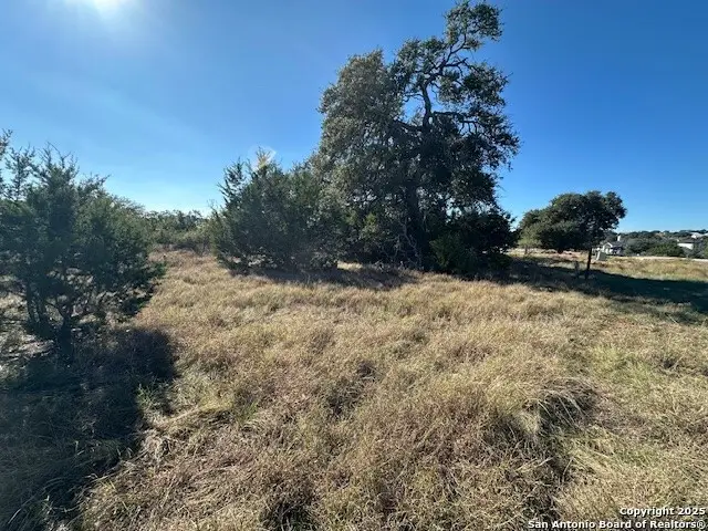 559 (LOT 1680) Curvatura, New Braunfels, TX 78132 - Image #3