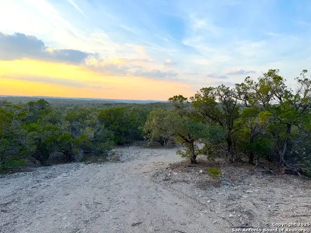 100 ACRES N Cranes Mill Road, Canyon Lake, TX 78133 - #2